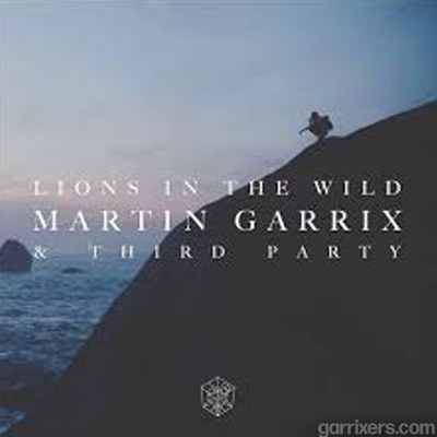 Lions In The Wild by Martin Garrix
