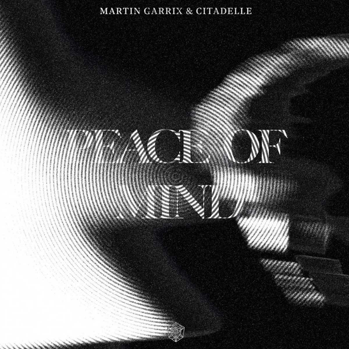 Martin Garrix Peace Of Mind single cover with Citadelle